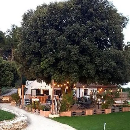 De Luxe Provence Les Collines D'ugernum Piscine Chauffee Entre Arles Nimes Avignon * 博凯尔